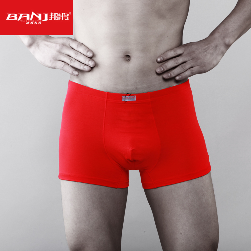 5pcs free shipping Quality bamboo fibre super elastic male panties trunk gift box set 5