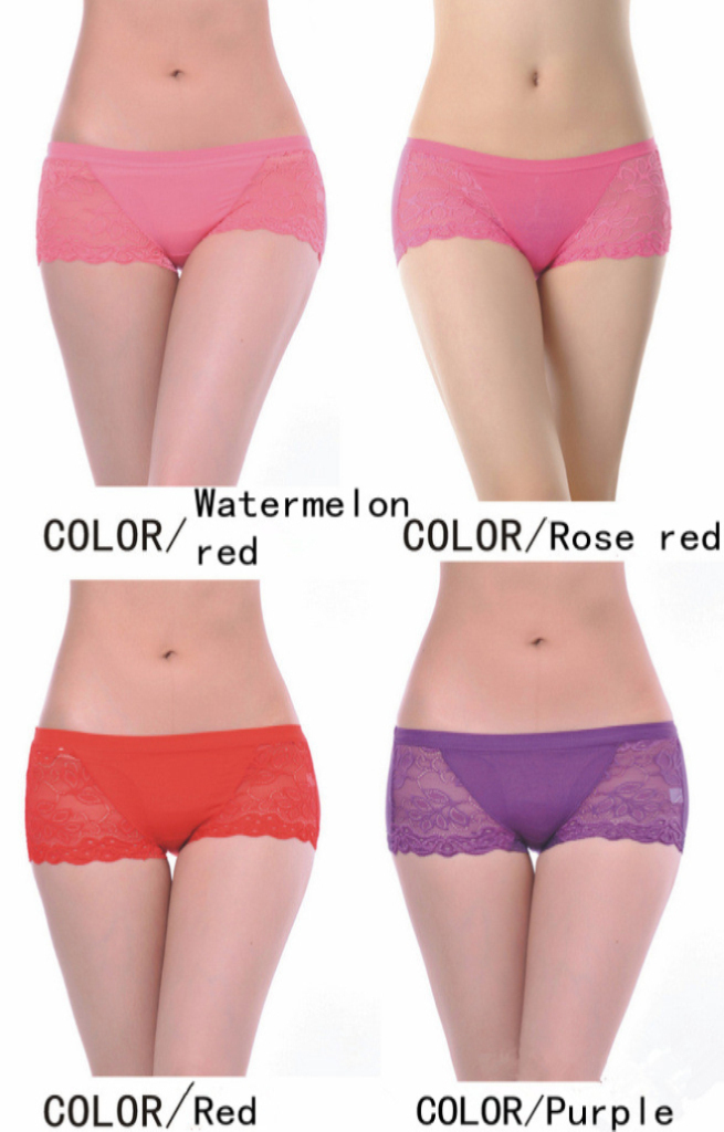 5pcs/lot 2012 New Most POP Style Free Shipping Lace Woman Sexy Underwear Women Panties Free Shipping