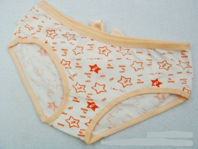 5pcs/lot Lady Panties  seamless Women Pants Underwear Free Size Briefs Mix cotton Free Shipping