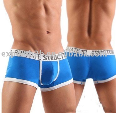 5pcs/lot men's Underwear, Men's Shorts,men's briefs (blue color)---free shipping