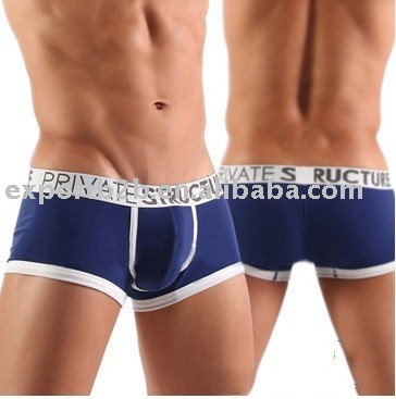 5pcs/lot men's Underwear, Men's Shorts,men's briefs (dark blue color)---free shipping