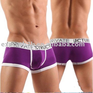 5pcs/lot men's Underwear, Men's Shorts,men's briefs (purple color)---free shipping