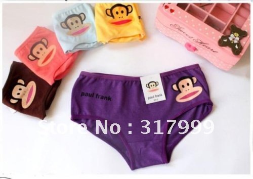 5PCS/lot Sexy Women's Sexy  Underwear Fashion Panties Briefs Free Shipping  10 colors E362