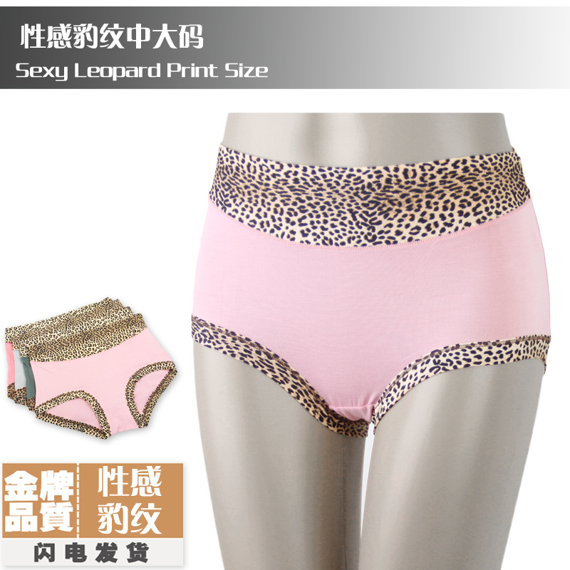 5pcs/lot women plus size underwear high waist panty ladies' panties fashion briefs for women