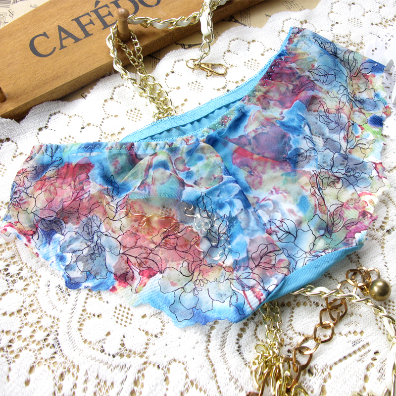 6 core quality luxury embroidery perspective gauze sexy women panties briefs transparent underwear