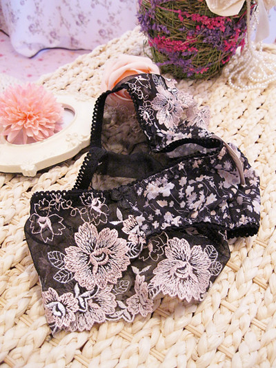 A nightingale _ Women embroidery underwear transparent underwear Ms. network yarn underwear RD430