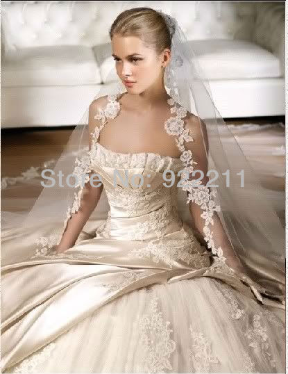 Amazing Ivory One Layer Cathedral Bridal Wedding Veil Lace Purfle