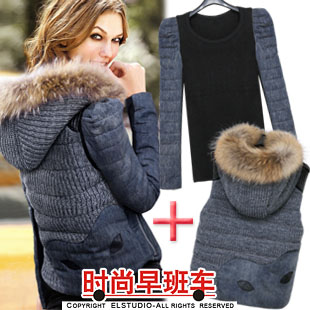 [ANYTIME] Winter raccoon fur with a hood cotton-padded jacket female short design women's wadded jacket 2012 twinset
