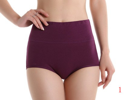 Bamboo fiber Briefs Underpants women Wholesale ladies sexy underwear waist plate abdomen underwear 10 pcs/lot 801 free shipping