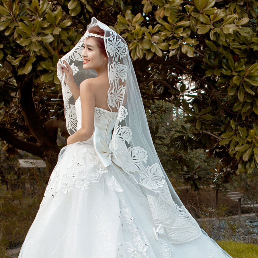 Beautiful the bride wedding dress formal dress large veil big flower style bronzier veil map