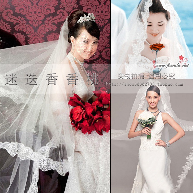 Beige lace big laciness bridal veil bride veil train 2 meters veil wedding accessories