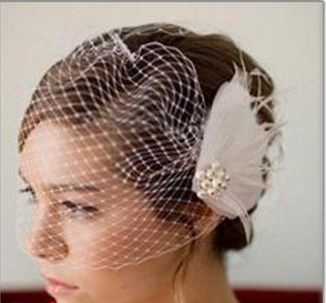 Best selling  bride hair accessories headdress married  spend the Bridal Veil 30PCS/lot By EMS Freeshipping