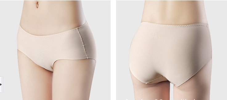 Big Size Ice-silk Seamless Women's panties (8 colors)  Free Shipping