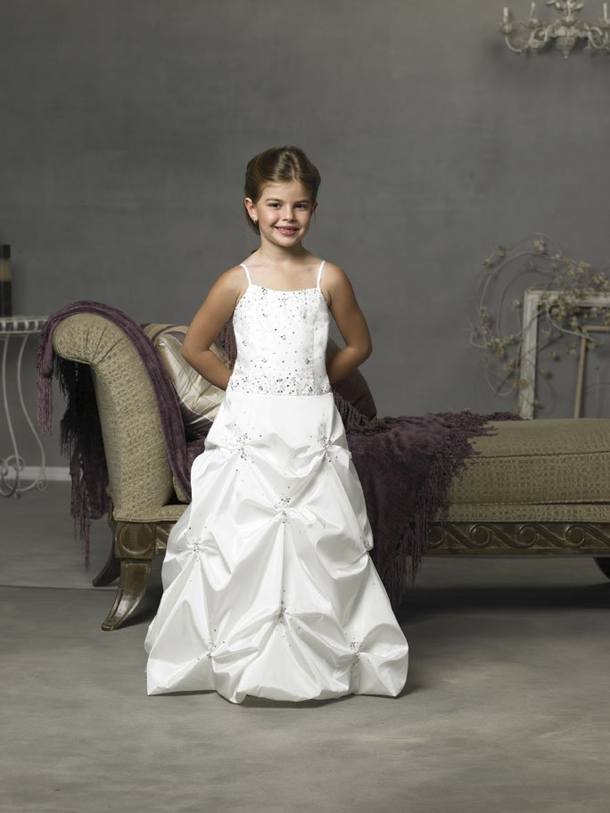 Brand new flower girl dress with appliquence whole body new dress