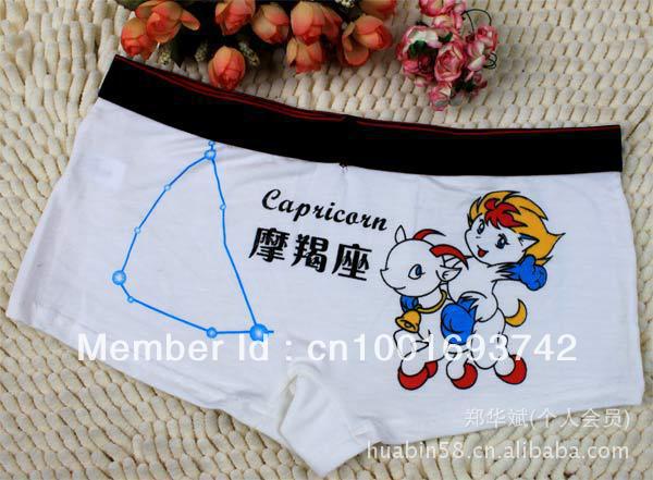 Capricorn - 5pcs/lot Women's Cartoon Constellation modal Boxers cotton Briefs underwear Size: L,XL.