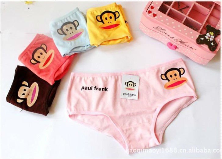 cartoon Panties Women Underwear Briefs Lace Panties Free Shipping ,5pcs/lot,many colors