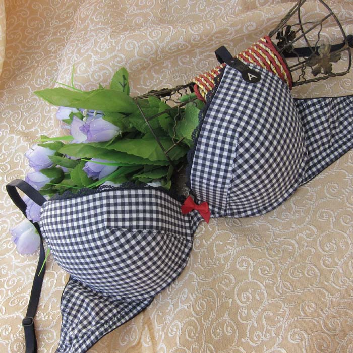 Censored a3 plaid underwear belt bra insert cup large ofnanyi