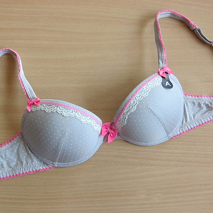 Censored h2 Light gray dot bra underwear 80c