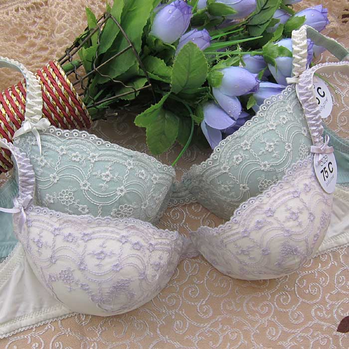 Ch3 shopping cart thick thin bodyzone noble and exquisite embroidered underwear bra 75cd