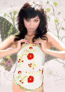 Chiffon embroidery apron embroidered apron sexy apron royal rose multicolor 0815