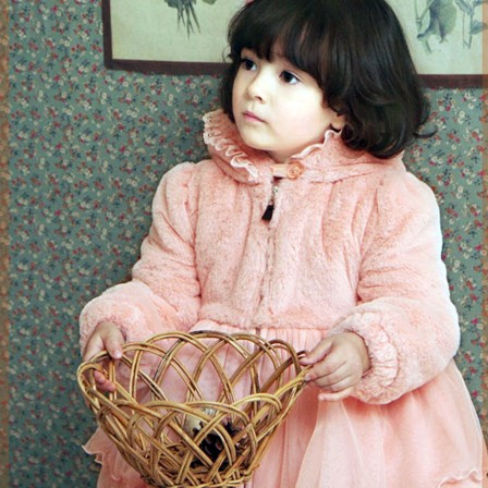 Children's clothing female child 2012 soft plush thickening hooded thermal outerwear princess dress overcoat
