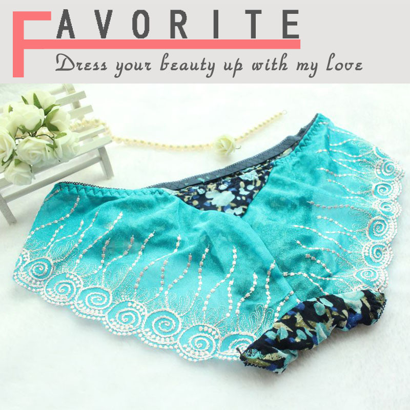 Classical Chinese Floral Embroidery underwear Sexy lady Transparent Panties Lace Hollow out Fashion Style women's briefs B74