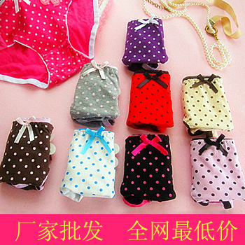 Cute little panties sweet briefs dot fashion hot-selling