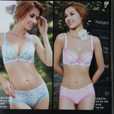 Deep V-neck push up lace decoration b adjustable bra set