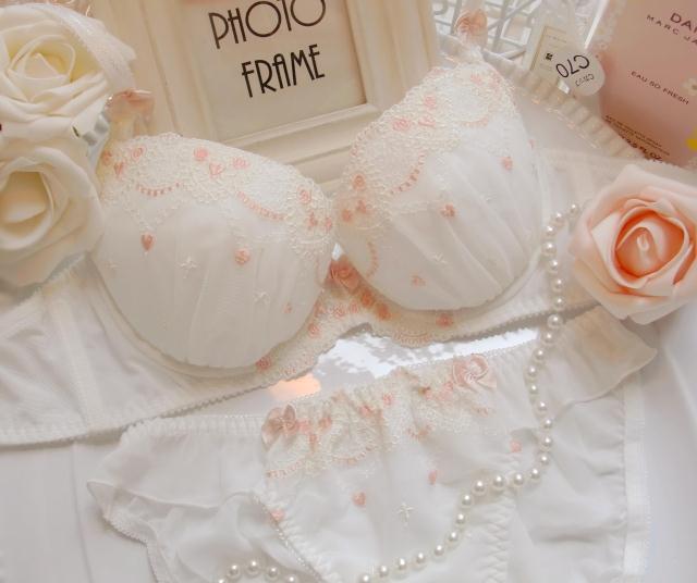 Dream white anthocaulus embroidery underwear bra set