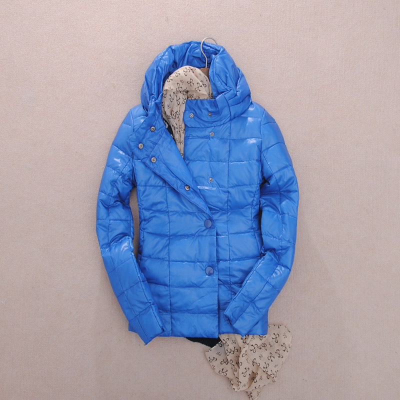 Drop shipping 2013 045 - awesome pattern collar retractable goatswool women's down coat 0.6 -jk