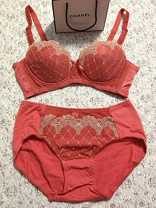 Embroidery 3 broadened gauze breasted rack push up bra underwear sets