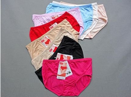 [EMS Free Shipping ] Women's Sexy  Underwear/Bamboo Fiber Panties/Lady's Briefs/ Multi-Colors 100pcs/lot UD-038