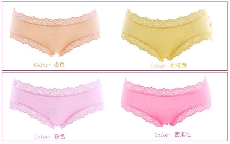 Ex-factory Price Wholesale Women Modal Panties Sexy Lace Frilly ladies Low Waist Briefs Underwear Pants 10 Colors Free shipping