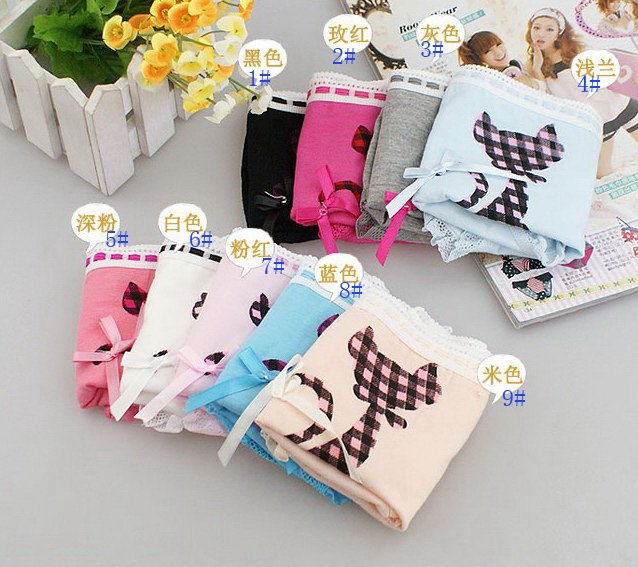 Fahion sexy lace cotton sexy women underwear briefs 40pcs/lot free shipping