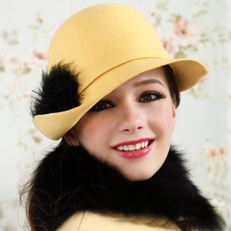 Fashion bow hair spring and autumn winter woolen hat female hat female fashion fedoras basin