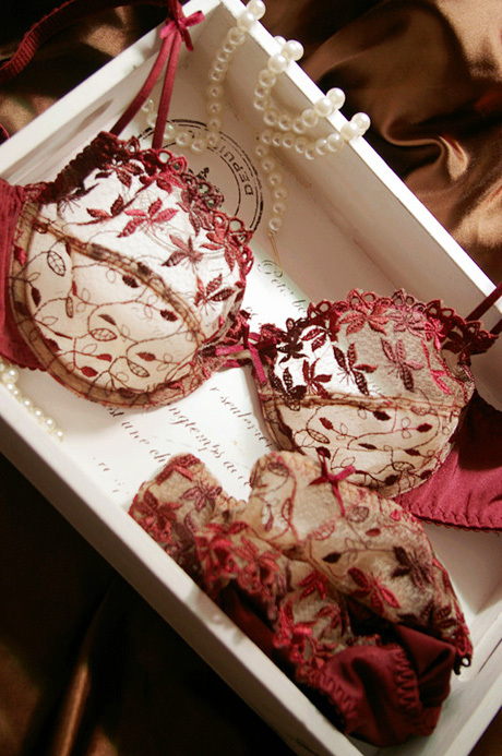 Fashion Comfortable Women Sexy Lace Bra Set .Famous Design Underwear,Cup B- D,Free Shipping