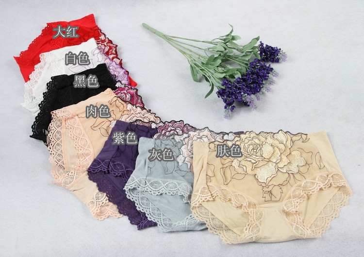 Fashion peony embroidery lace modal panties panty 6 sistance