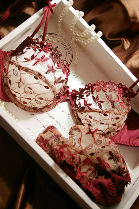 Fashion transparent sexy lace embroidery underwear bra set