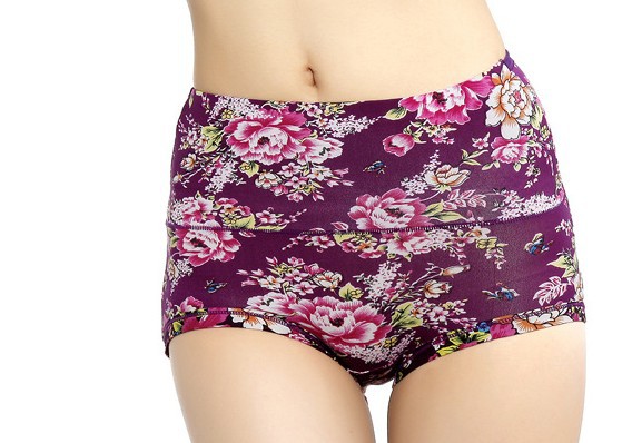 four colors bamboo fiber and spandex hot sell comfortable woman underwear  free shipping