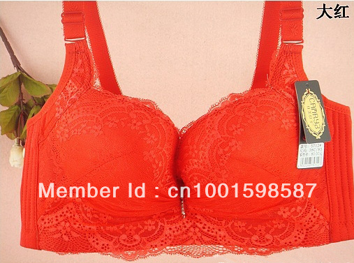 Free Ship Chinese Push Up Sexy Embroidery Fashion Ladies' Underware C cup 34-38 WJM-5712