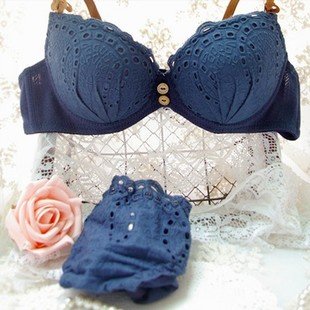 Free shippig 2012 Fashion Women Flower Vintage Bra Set,Sexy Ladies' Underwear Set,Pink/Blue,Cup A-B