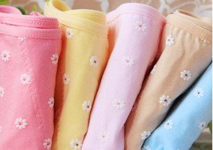 Free shippin woman physiology period underwear mensesl pants Lady menstrual Prevent leakage briefs 10pcs/lots mix color