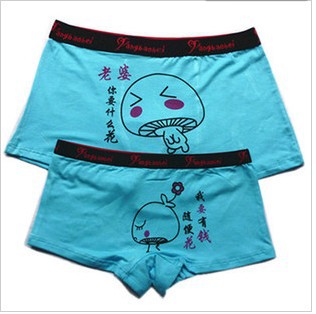 Free shipping (1 pair/lot) 100% modal  The wife what would you take  Couple Panties underwear women Pantiesand men Panties