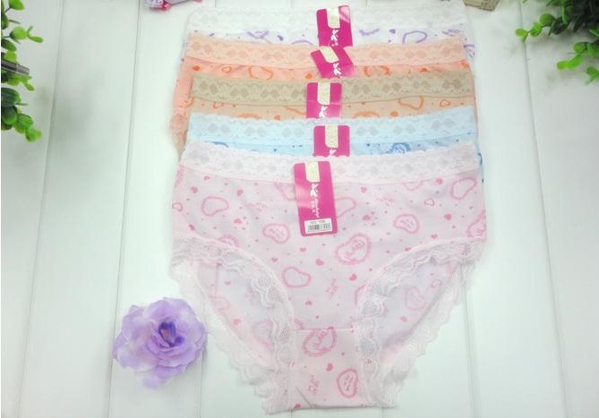 Free shipping,10pcs/lot,2013 hot sale women's Print Lace  women underwear panties, Women Panties,Mix order