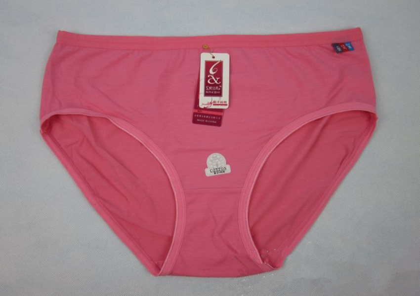Free Shipping 10pcs/lot High Waist Plus Size Women Panties Briefs Fashion Underwear