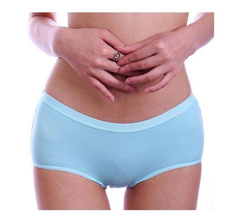Free shipping(10pcs/lot)Lady seamless underwear/100%cotton briefs/Lady bamboo fiber underwear