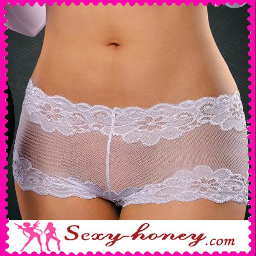 Free Shipping 10Pcs/lot,New Designs,Latest Fashion Lace Brief,Stock Lady's Panties Sexy Underwear,Women Sexy Thongs-LD-10165