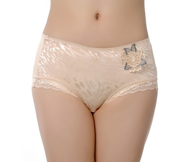 Free Shipping 10pcs/lot Sexy Lady Brifes / Lady Candy Color Underwear / Sweet Underwear / Panties Briefs