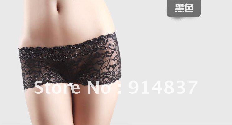 Free Shipping!!10pcs/lots Sexy underwear /lace briefs / Transparent briefs / women's panties