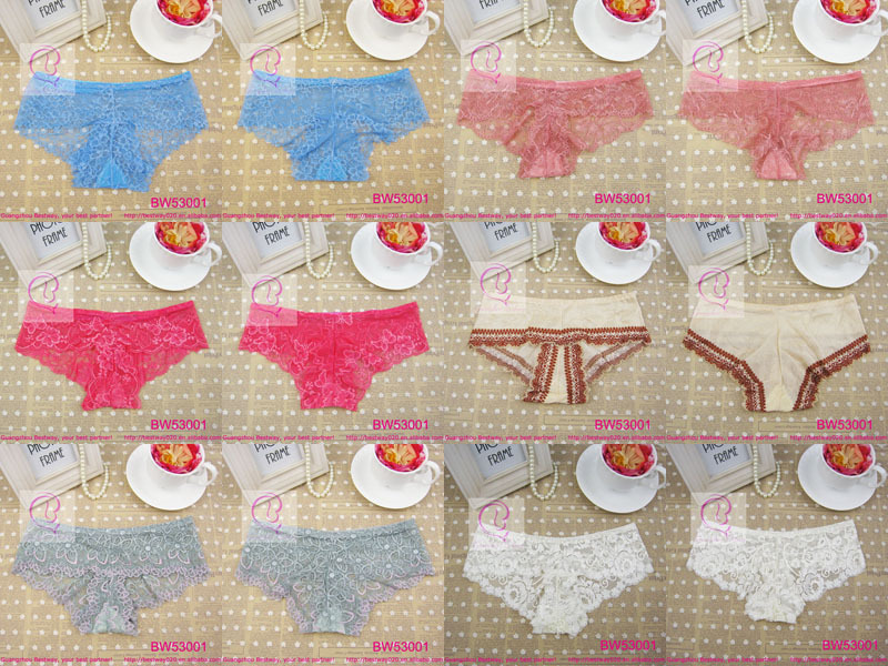 Free shipping 10pcs packed ladies sexy transparent full lace panties cheap price assorted pantterns delivery